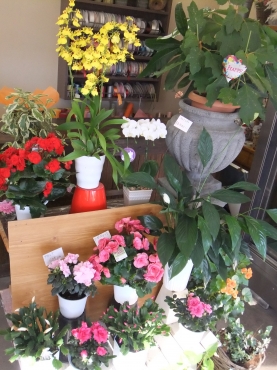「フラワーギフト花夢」　（群馬県前橋市）の花屋店舗写真3